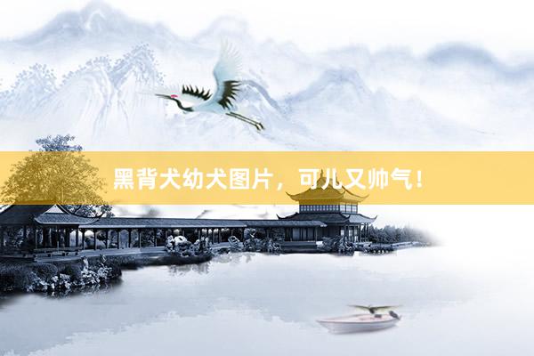 黑背犬幼犬图片，可儿又帅气！